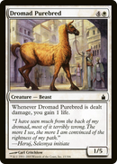 Dromad Purebred (RAV-015)  Foil - Ravnica: City of Guilds