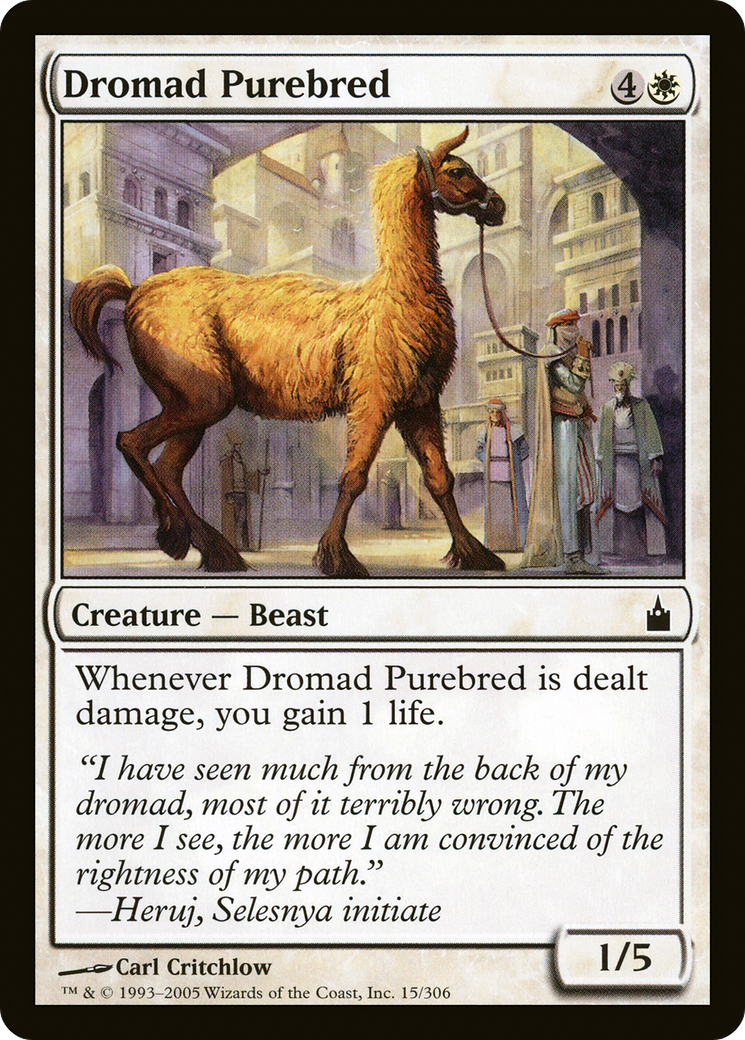 Dromad Purebred (RAV-015)  - Ravnica: City of Guilds