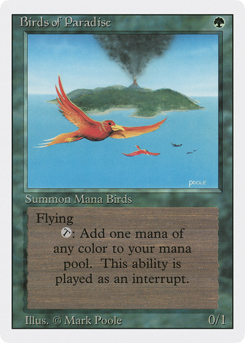 Birds of Paradise (3ED-)  - Revised Edition