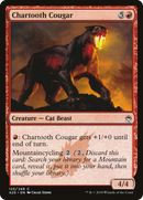 Chartooth Cougar (A25-125)  - Masters 25