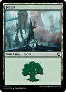 Forest (0271) (CLU-271)  - Ravnica: Clue Edition