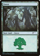 Forest (572) (SLD-572)  Foil - Secret Lair Drop