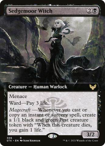 Sedgemoor Witch (Extended Art) (STX-306)  Foil - Strixhaven: School of Mages: (Extended Art)