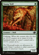 Young Wolf (J22-746)  - Jumpstart 2022