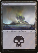 Swamp (560) (SLD-560)  Foil - Secret Lair Drop