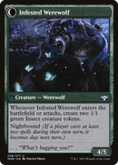 Infestation Expert (VOW-206)  - Innistrad: Crimson Vow: (Double Faced Transform)