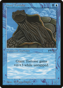 Giant Tortoise (ARN-)  - Arabian Nights