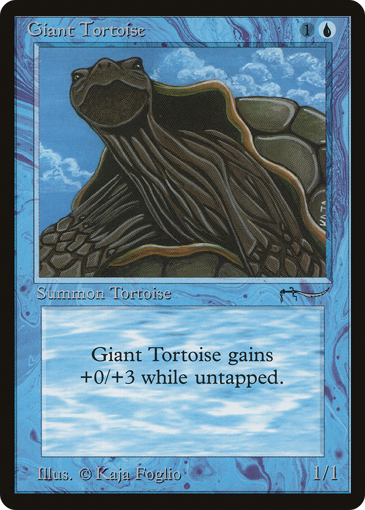 Giant Tortoise (ARN-)  - Arabian Nights