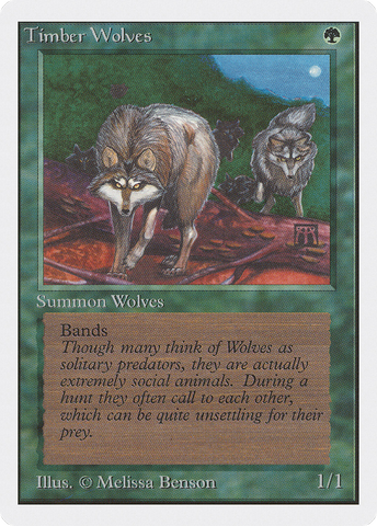 Timber Wolves (2ED-)  - Unlimited Edition