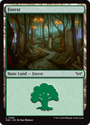 Forest (0286) (DSK-286)  Foil - Duskmourn: House of Horror