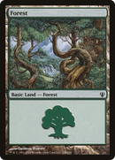 Forest (148) (ARC-148)  - Archenemy