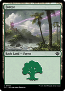 Forest (0402) (LCI-402)  - The Lost Caverns of Ixalan