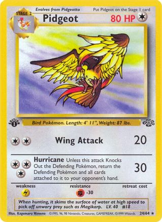 Pidgeot (24) 024/64  - 1st Edition Jungle - Rare