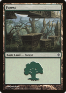 Forest (245) (ROE-245) - Rise of the Eldrazi Foil