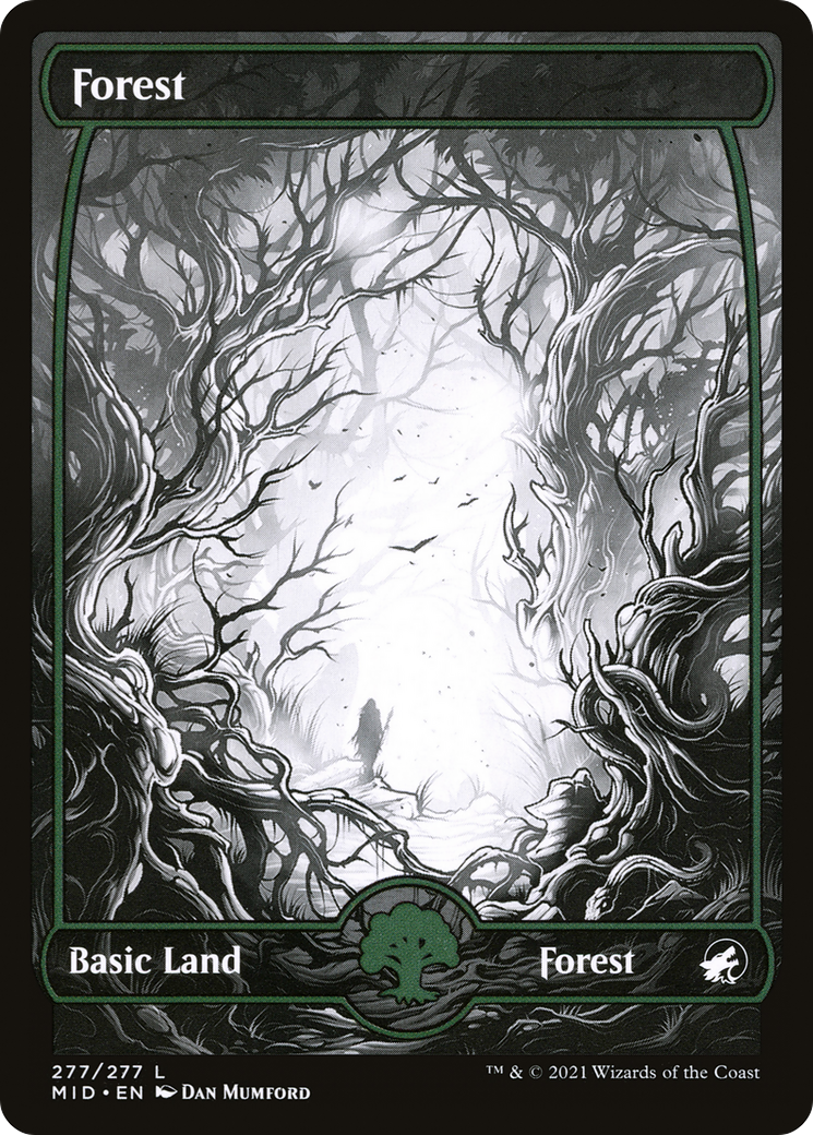 Forest (277) (MID-277)  - Innistrad: Midnight Hunt: (Full Art, Showcase)