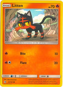 Litten 024/149  - Holofoil Miscellaneous Cards & Products - Promo