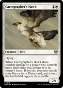 Cartographer's Hawk (CMM-018)  Foil - Commander Masters