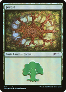 Forest (574) (SLD-574)  Foil - Secret Lair Drop