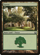 Forest (271) (RTR-271)  Foil - Return to Ravnica
