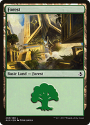 Forest (268) (AKH-268)  - Amonkhet