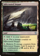 Saltcrusted Steppe (C17-273)  - Commander 2017