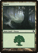 Forest (263) (ISD-263) - Innistrad Foil