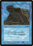 Giant Tortoise (Light) (ARN-)  - Arabian Nights