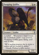 Fledgling Griffin (WWK-005)  - Worldwake