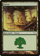 Forest (304) (MRD-304)  - Mirrodin