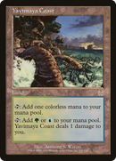 Yavimaya Coast (APC-143)  - Apocalypse