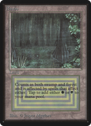 Bayou (LEB-)  - Limited Edition Beta