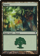 Forest (248a) (ZEN-248A)  - Zendikar
