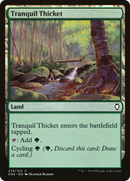 Tranquil Thicket (CM2-274)  - Commander Anthology Volume II