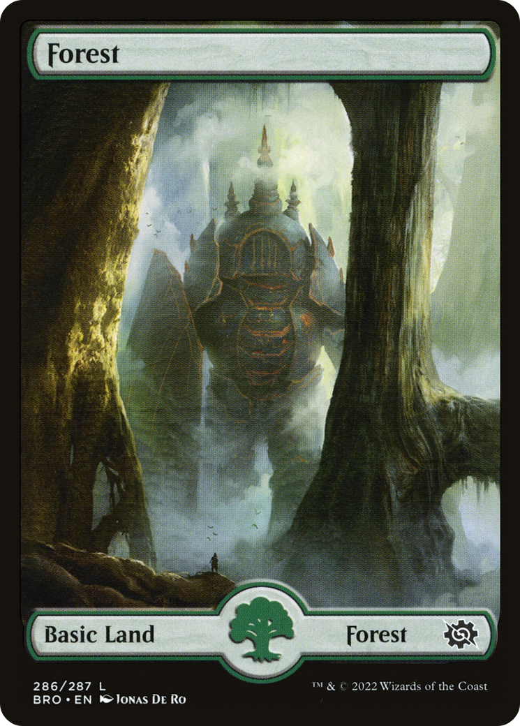 Forest (286) - Full Art (BRO-286)  Foil - The Brothers' War