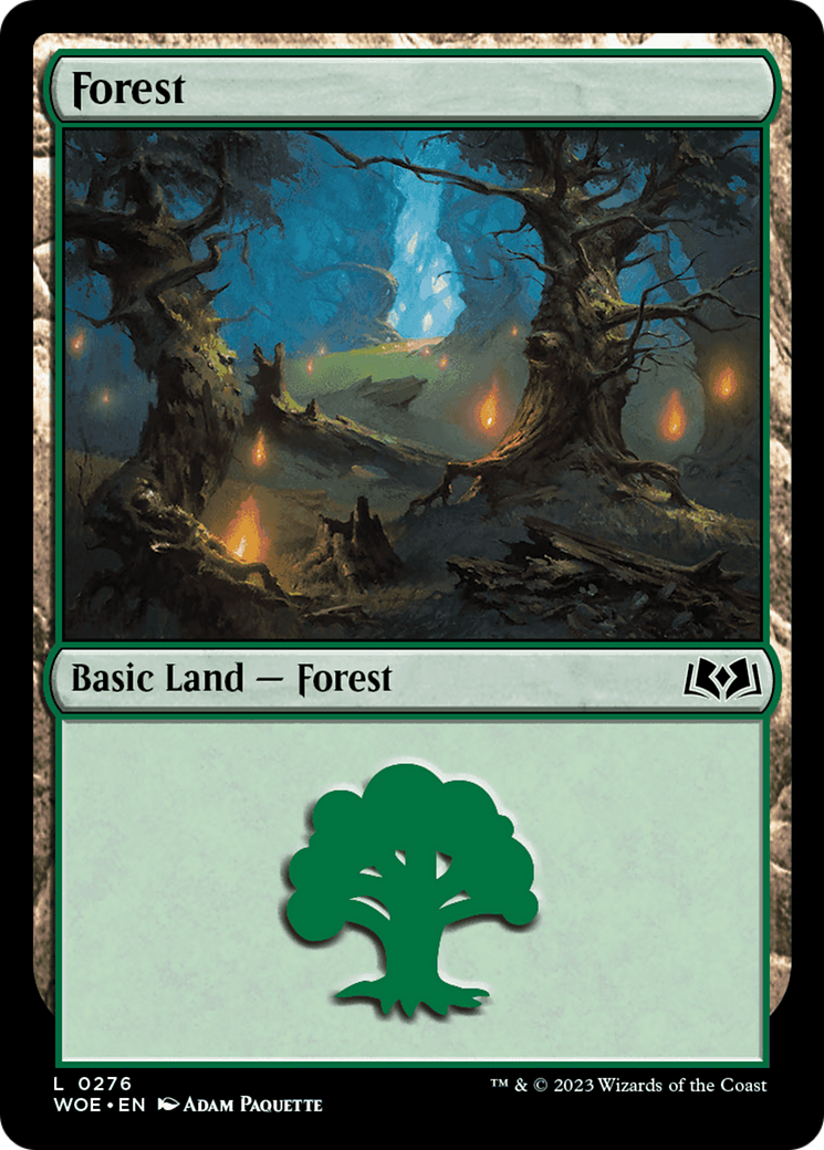Forest (0276) (WOE-276)  - Wilds of Eldraine