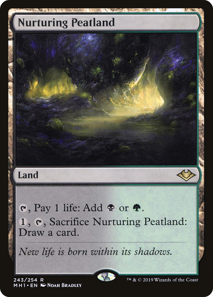 Nurturing Peatland (MH1-243)  Foil - Modern Horizons