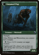Hound Tamer (MID-187)  - Innistrad: Midnight Hunt: (Double Faced Transform)