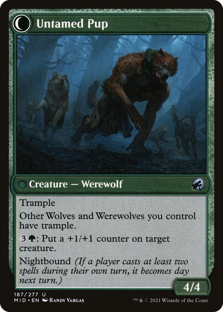 Hound Tamer (MID-187)  - Innistrad: Midnight Hunt: (Double Faced Transform)
