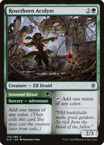 Rosethorn Acolyte (ELD-174)  Foil - Throne of Eldraine