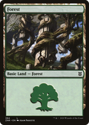 Forest (ZNR-384)  Foil - Zendikar Rising