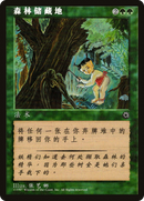 Elven Cache (CS Alternate Art) (POR-)  - Portal