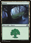 Forest (296) (SOI-296)  Foil - Shadows over Innistrad