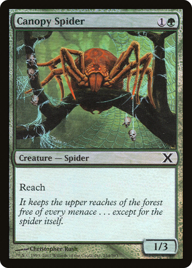 Canopy Spider (10E-254★)  Foil - Tenth Edition