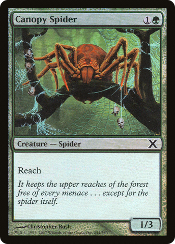 Canopy Spider (10E-254★)  Foil - Tenth Edition