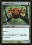 Canopy Spider (10E-254★)  Foil - Tenth Edition