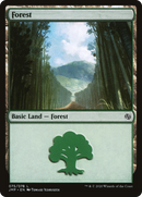 Forest (75) (JMP-075)  - Jumpstart