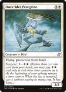 Duskrider Peregrine (TSR-016)  Foil - Time Spiral Remastered