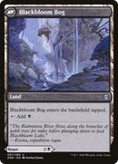 Blackbloom Rogue (ZNR-091)  Foil - Zendikar Rising