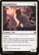 Charmed Stray (WAR-008) - War of the Spark Foil
