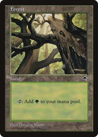 Forest (Skyward) (TMP-347)  - Tempest